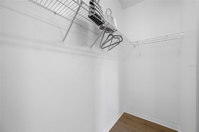 1760 W Shanelle Path, Lecanto, FL 34461 - walk in closet with dark wood-style flooring
