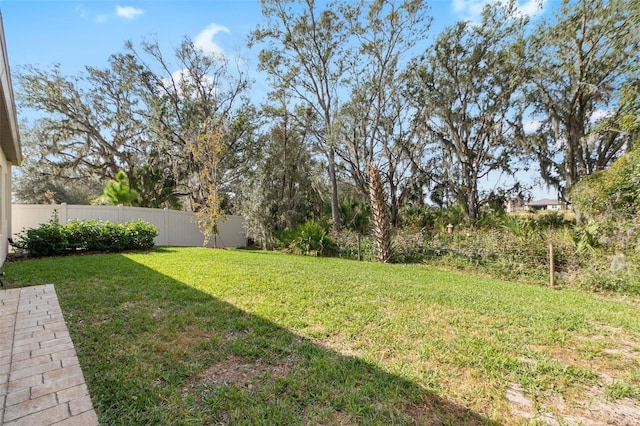 14672 Horse Trot Rd, Lithia, FL 33547 - photo 29