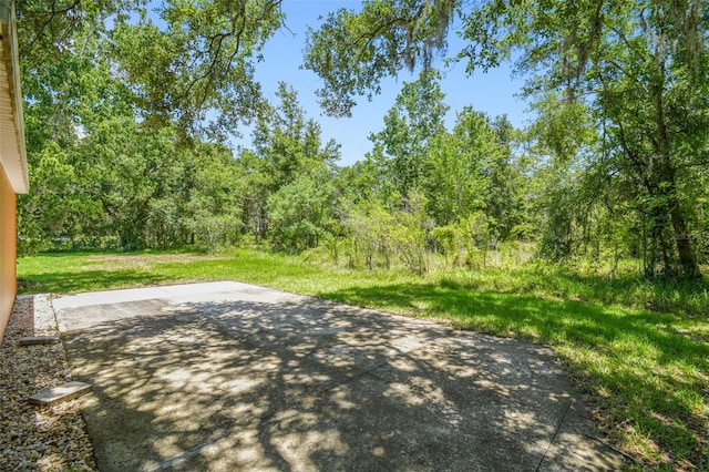 2513 Martucci Rd, Seffner, FL 33584 - photo 53