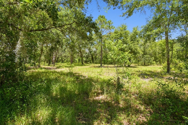 2513 Martucci Rd, Seffner, FL 33584 - photo 54