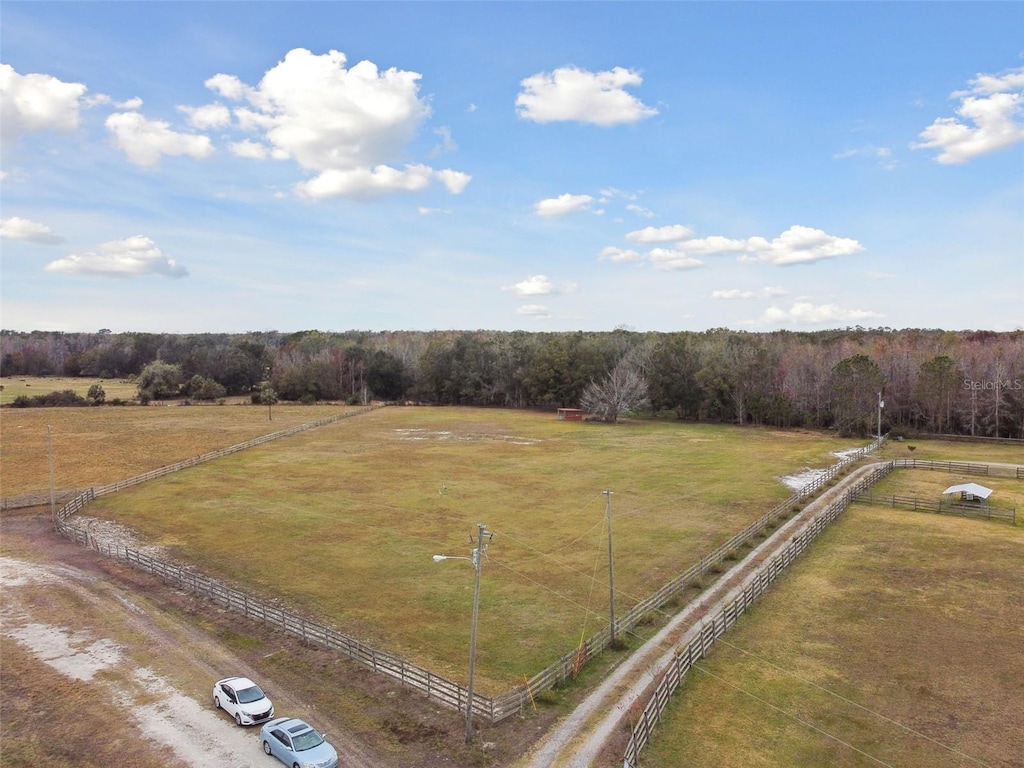 25705 Armenian Ln, Wesley Chapel, FL 33544