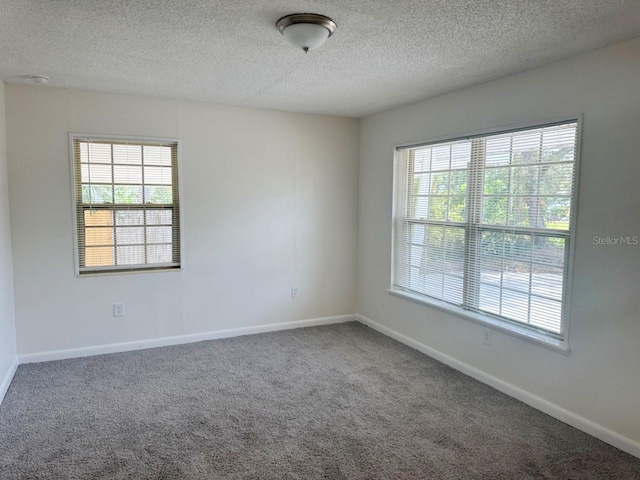 6427 2nd Ave S, Saint Petersburg, FL 33707 - photo 7