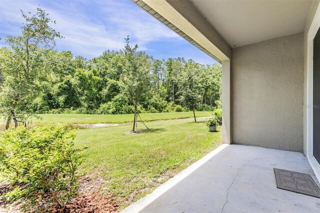 17482 Nectar Flume Dr, Land O Lakes, FL 34638 - photo 23