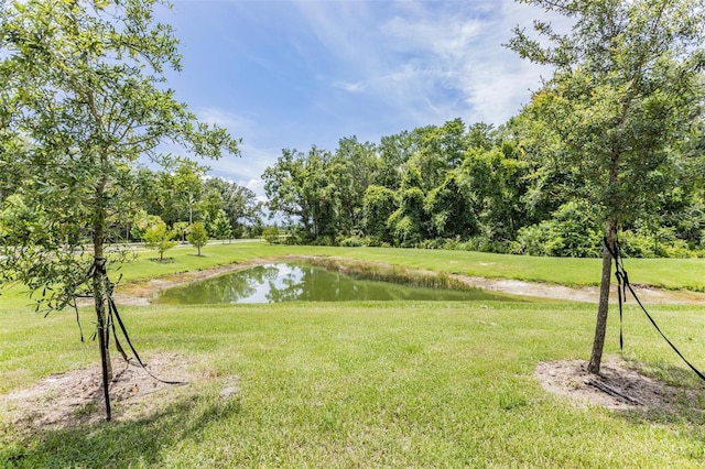 17482 Nectar Flume Dr, Land O Lakes, FL 34638 - photo 25