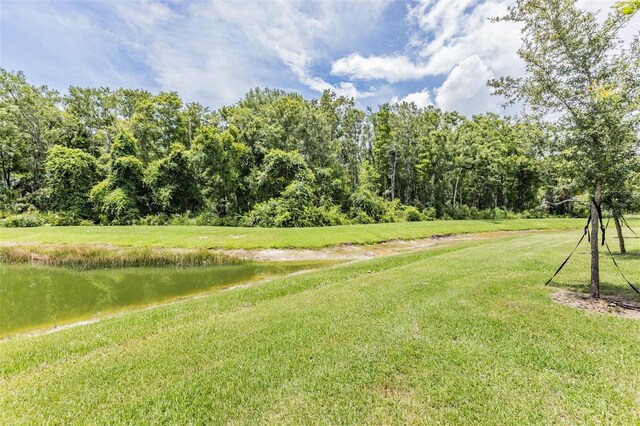 17482 Nectar Flume Dr, Land O Lakes, FL 34638 - photo 29