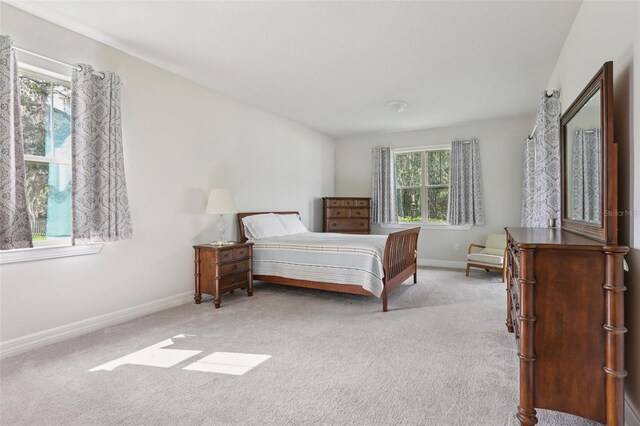 19246 Briarbrook Dr, Tampa, FL 33647 - photo 27