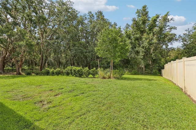 19246 Briarbrook Dr, Tampa, FL 33647 - photo 36