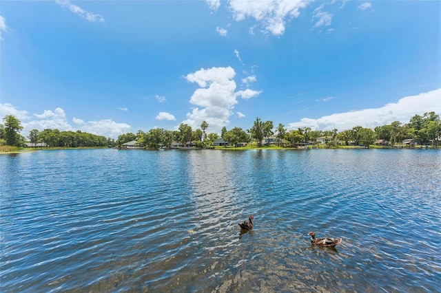 5704 Half Moon Lake Rd, Tampa, FL 33625 - photo 8