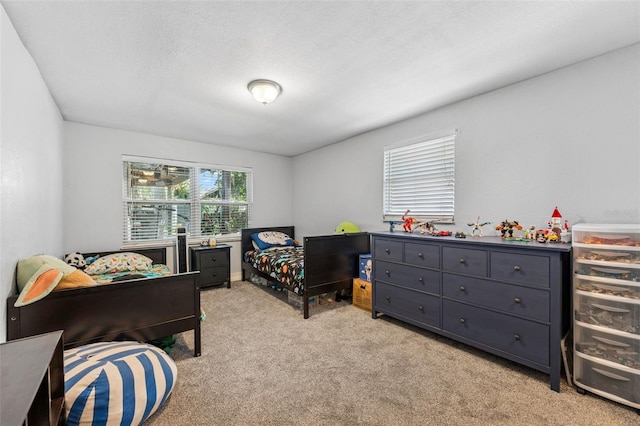 5704 Half Moon Lake Rd, Tampa, FL 33625 - photo 26