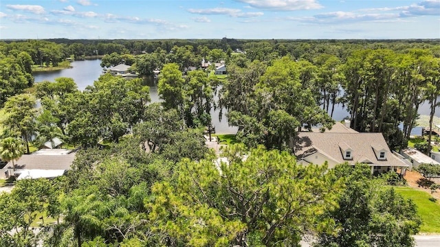 5704 Half Moon Lake Rd, Tampa, FL 33625 - photo 44