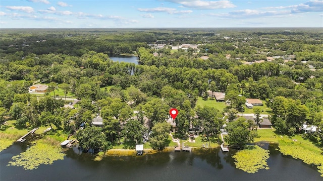 5704 Half Moon Lake Rd, Tampa, FL 33625 - photo 47