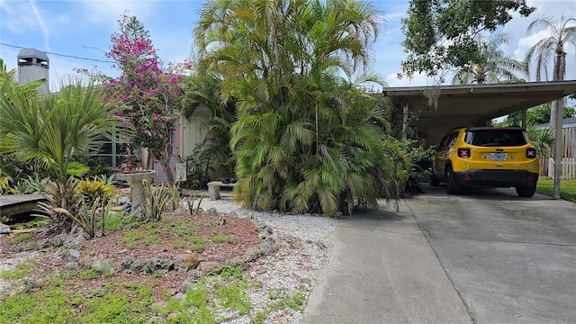 3261 Mayflower St, Sarasota, FL 34231 - view of front of home featuring concrete driveway and a carport