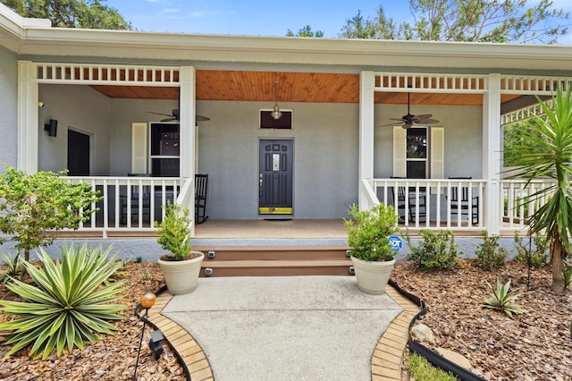 8600 Shenandoah Run, Wesley Chapel, FL 33544 - photo 1