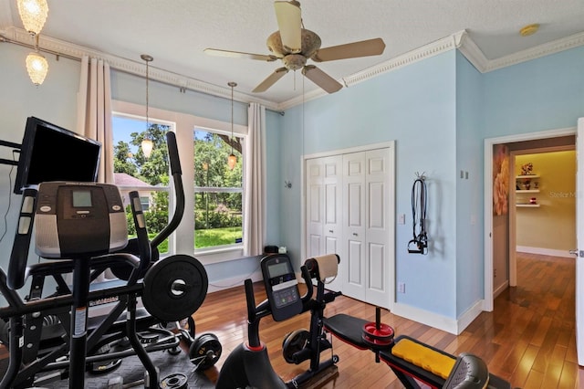8600 Shenandoah Run, Wesley Chapel, FL 33544 - photo 9