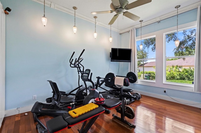 8600 Shenandoah Run, Wesley Chapel, FL 33544 - photo 28