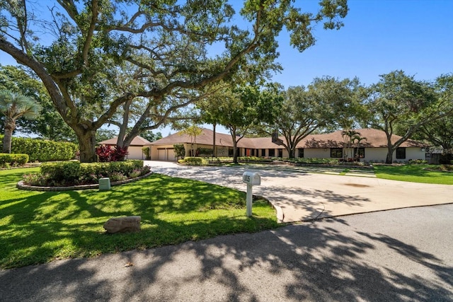1835 Alicia Way, Clearwater, FL 33764 - ranch-style house featuring a garage, driveway, and a front lawn