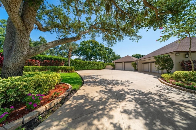 1835 Alicia Way, Clearwater, FL 33764 - view of concrete driveway