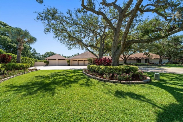 1835 Alicia Way, Clearwater, FL 33764 - view of front of property with driveway and a front yard