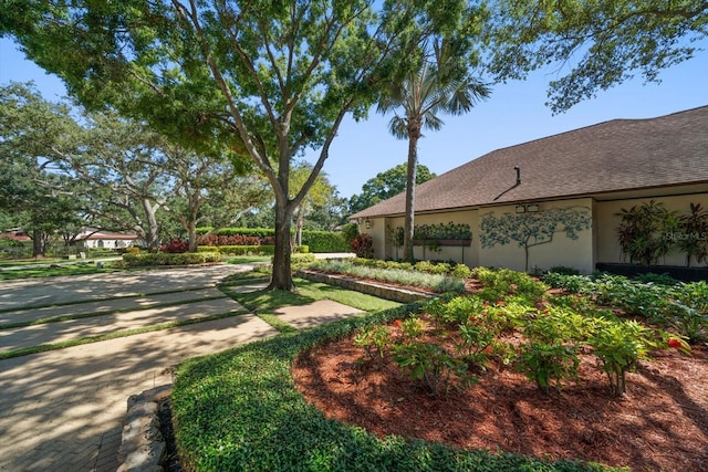 1835 Alicia Way, Clearwater, FL 33764 - view of yard