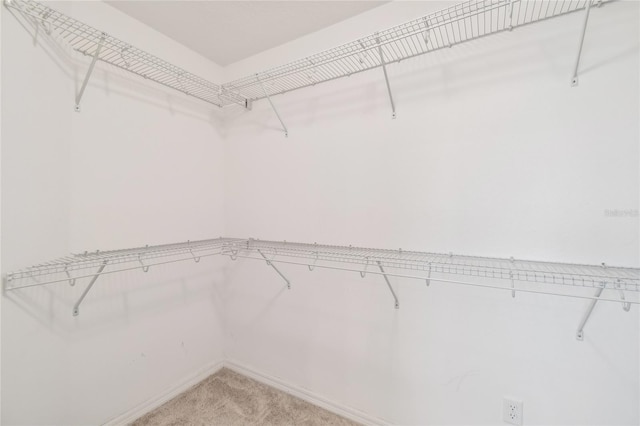 19656 Long Lake Ranch Blvd, Lutz, FL 33558 - photo 32