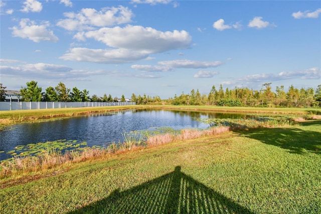 19656 Long Lake Ranch Blvd, Lutz, FL 33558 - photo 42