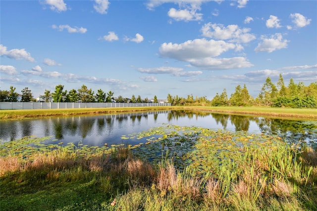 19656 Long Lake Ranch Blvd, Lutz, FL 33558 - photo 47