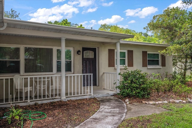 4321 S Thatcher Ave, Tampa, FL 33611 - photo 6