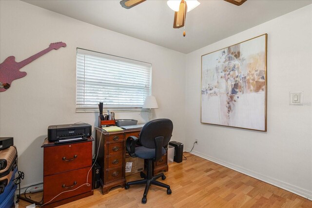 4321 S Thatcher Ave, Tampa, FL 33611 - photo 19