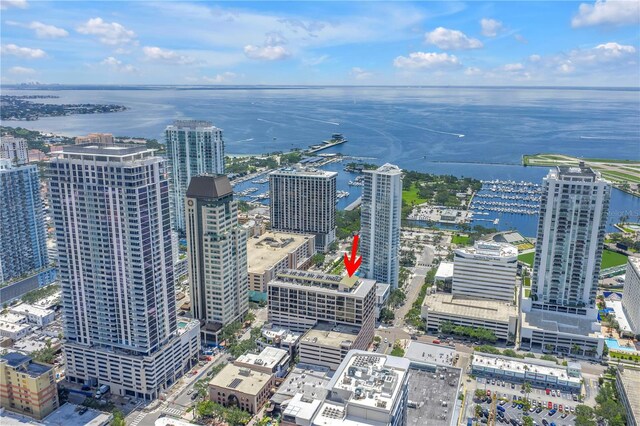 175 2nd St S Unit P-2, Saint Petersburg, FL 33701 - photo 42