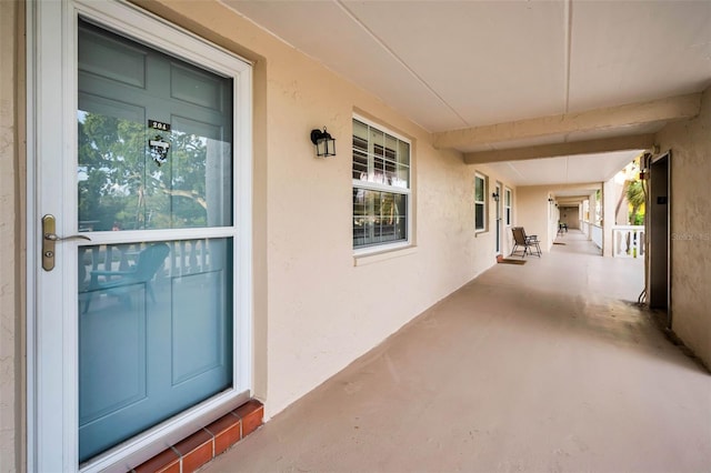 920 Virginia St Unit 204, Dunedin, FL 34698 - view of exterior entry with stucco siding and a porch