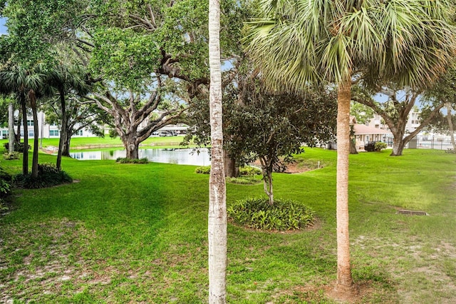920 Virginia St Unit 204, Dunedin, FL 34698 - view of green lawn featuring a water view