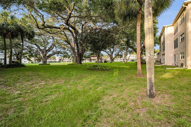 920 Virginia St Unit 204, Dunedin, FL 34698 - view of grassy yard