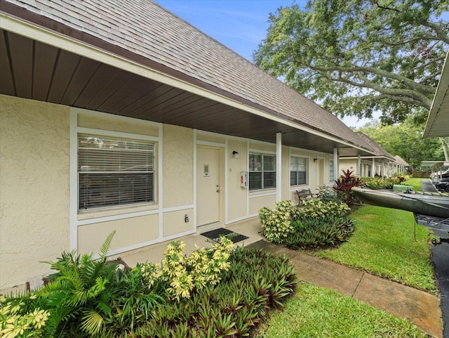 2357 Walton Cir Unit M6, Palm Harbor, FL 34683 - entrance to property featuring a shingled roof and stucco siding