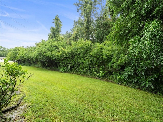 2357 Walton Cir Unit M6, Palm Harbor, FL 34683 - view of grassy yard