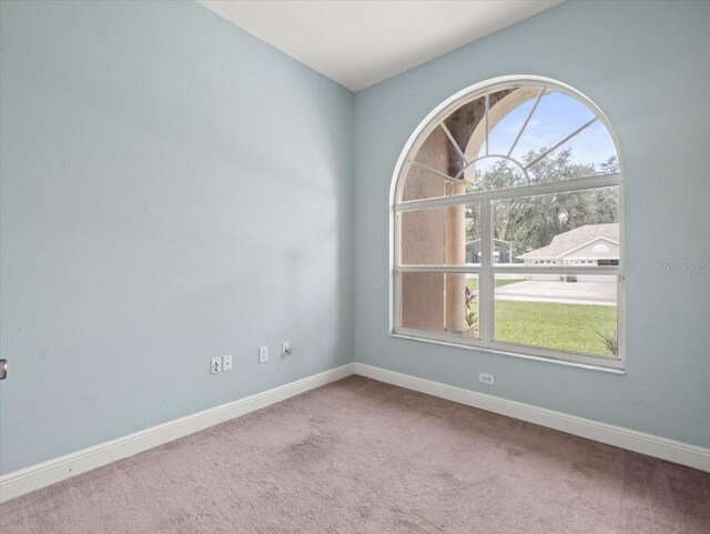 2409 Heather Manor Ln, Lutz, FL 33549 - photo 29
