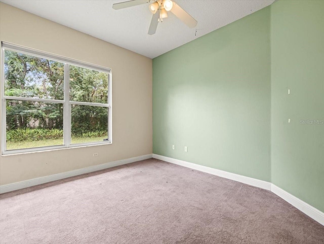 2409 Heather Manor Ln, Lutz, FL 33549 - photo 32