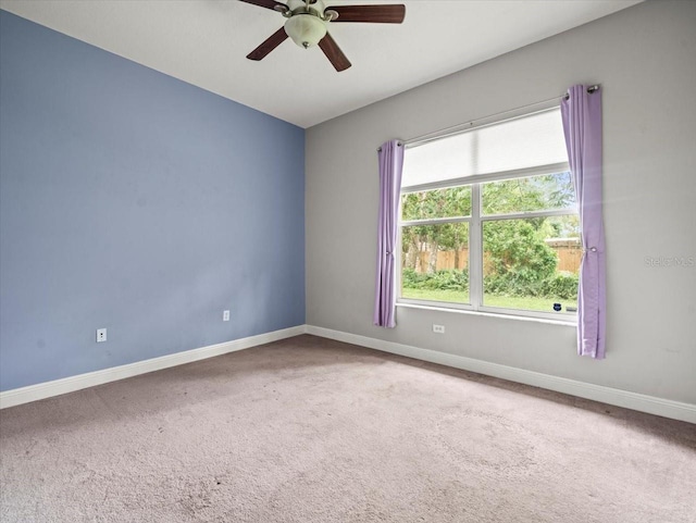 2409 Heather Manor Ln, Lutz, FL 33549 - photo 33