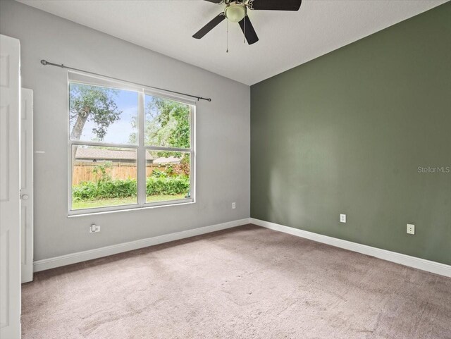 2409 Heather Manor Ln, Lutz, FL 33549 - photo 36