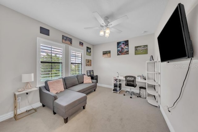 14919 Fishhawk Preserve Dr, Lithia, FL 33547 - photo 49