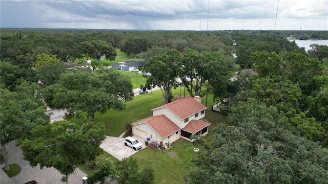 11414 Donneymoor Dr, Riverview, FL 33569 - aerial view of a forest