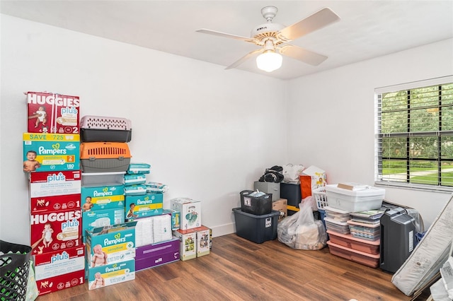 11414 Donneymoor Dr, Riverview, FL 33569 - storage area with ceiling fan