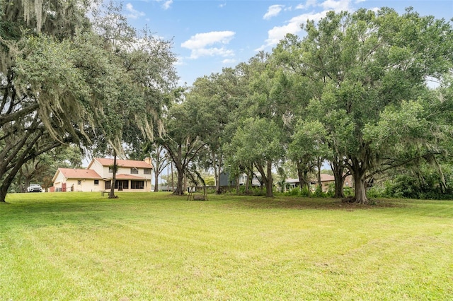 11414 Donneymoor Dr, Riverview, FL 33569 - view of green lawn