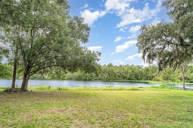 11414 Donneymoor Dr, Riverview, FL 33569 - water view