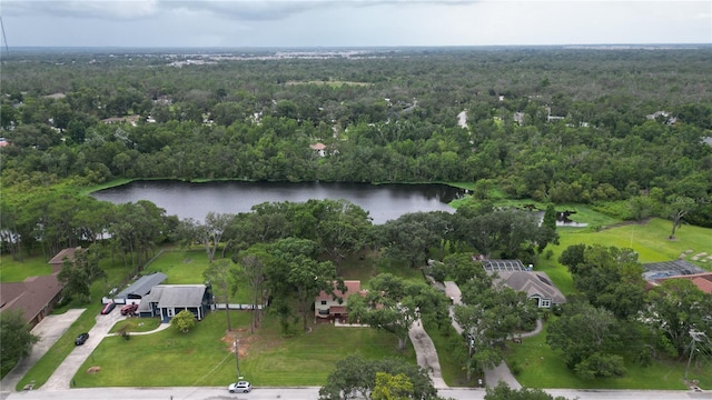 11414 Donneymoor Dr, Riverview, FL 33569 - aerial view of property's location with a large body of water