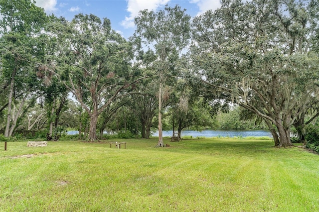 11414 Donneymoor Dr, Riverview, FL 33569 - view of grassy yard with a water view