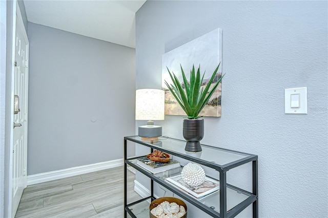9481 Highland Oak Dr Unit 1506, Tampa, FL 33647 - photo 3
