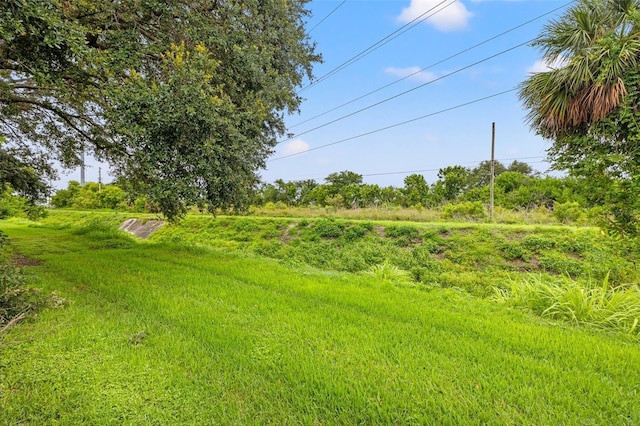 1724 Adams Cir S, Largo, FL 33771 - view of yard