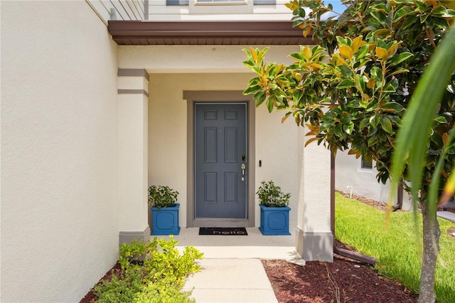 6595 Ryestone Way, Wesley Chapel, FL 33545 - photo 4