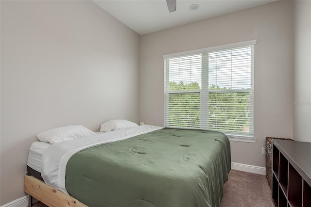 3702 W Roland St Unit 2, Tampa, FL 33609 - photo 19