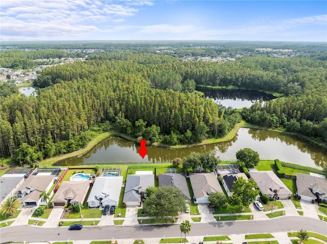 30638 Nickerson Loop, Wesley Chapel, FL 33543 - photo 35
